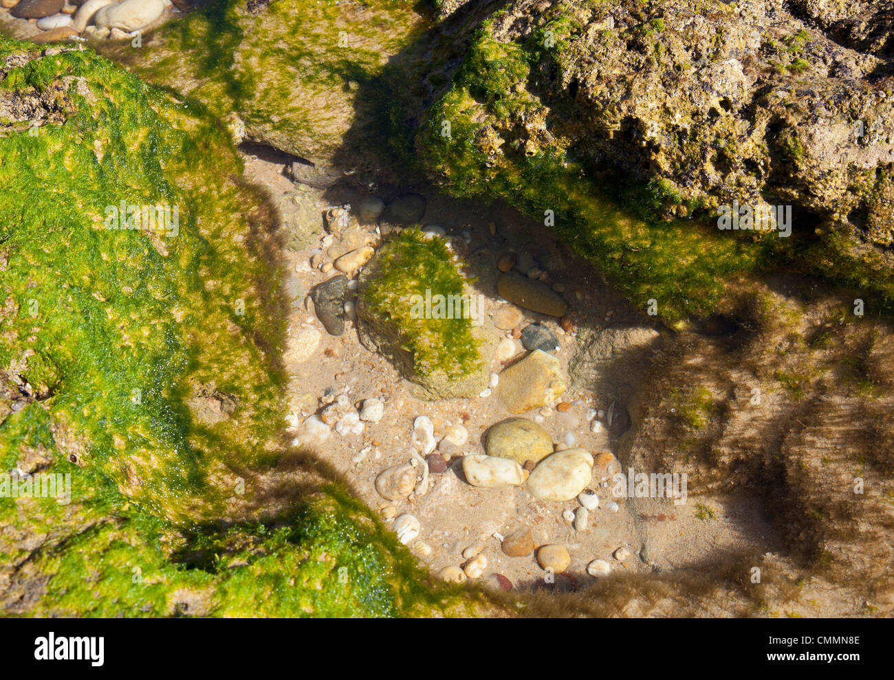 Strand-Felsenbad Stockfoto