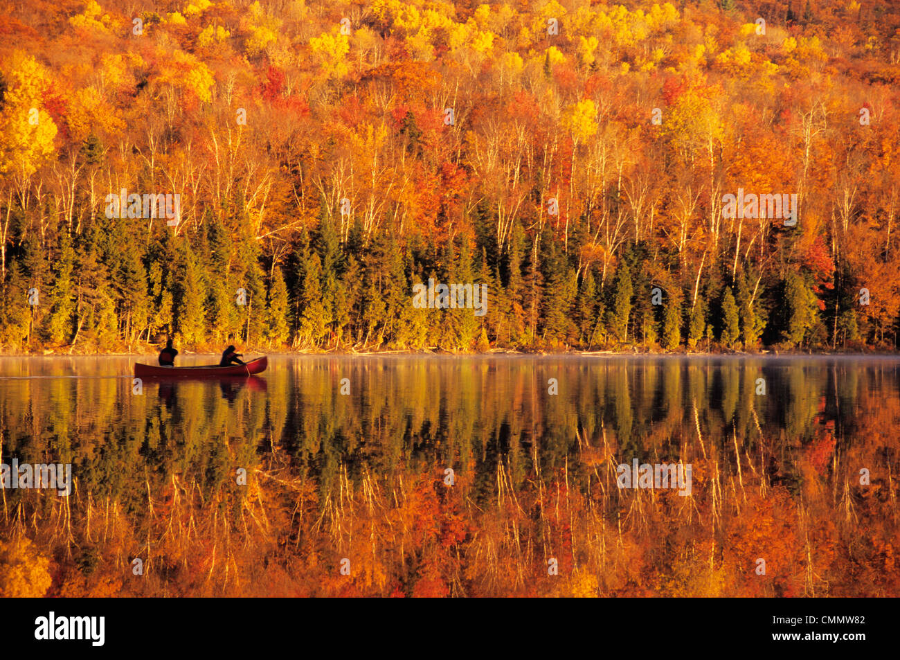 Kanuten bei Sonnenaufgang, Lac Bouchard, La Mauricie National Park Québec. Stockfoto