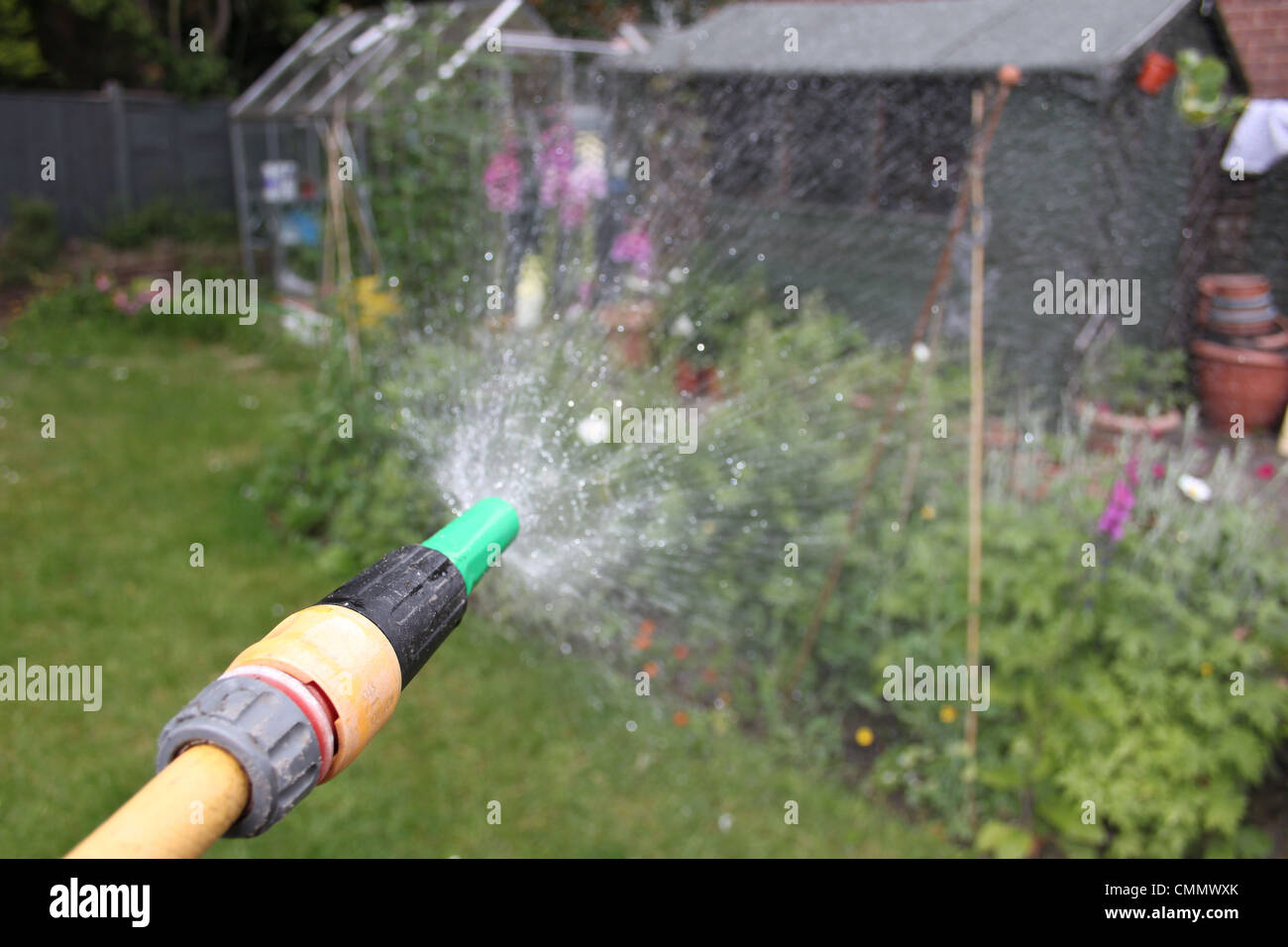 Bewässerung des Gartens mit einem Gartenschlauch Stockfoto