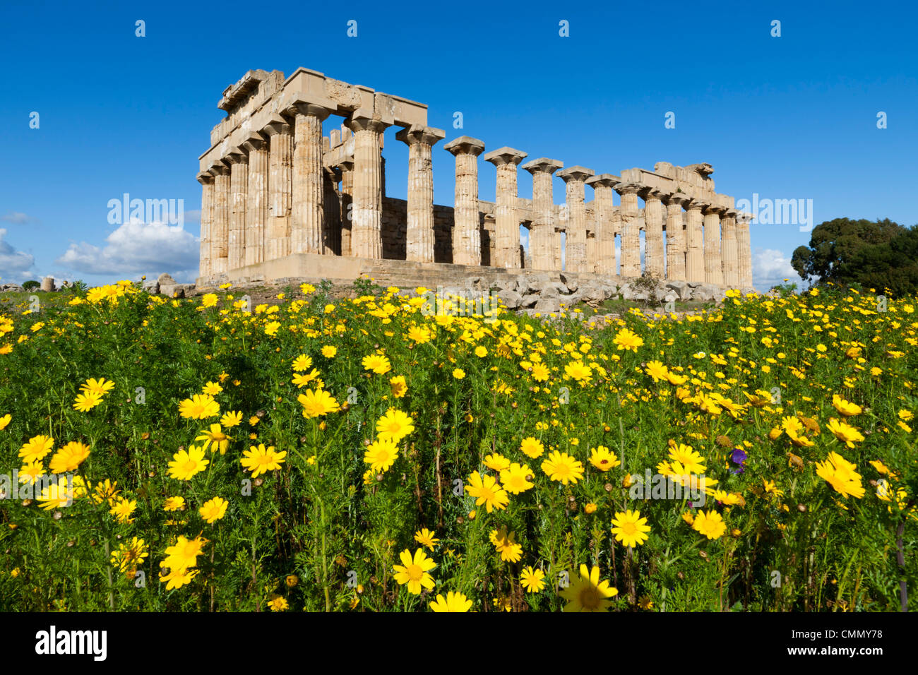 Selinus griechischen Tempel in Frühling, Selinunte, Sizilien, Italien, Europa Stockfoto