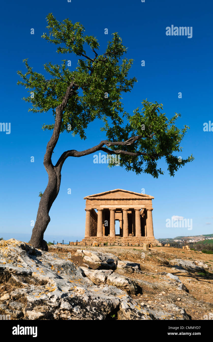 Tempio di Concordia (Eintracht) und Mandelbaum, Valle dei Templi, UNESCO-Weltkulturerbe, Agrigento, Sizilien, Italien, Europa Stockfoto