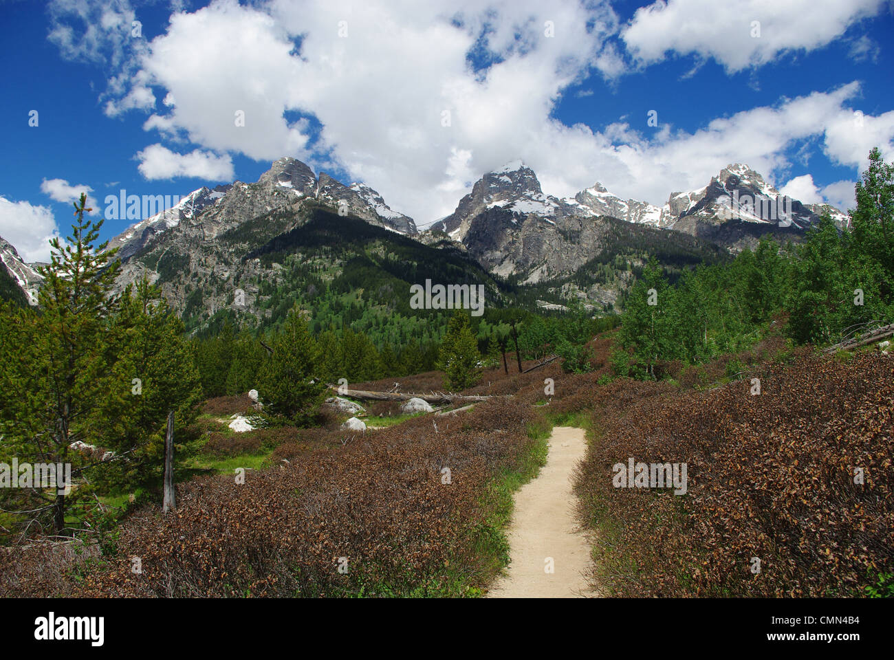 Trail zu Grand Teton, Wyoming Stockfoto