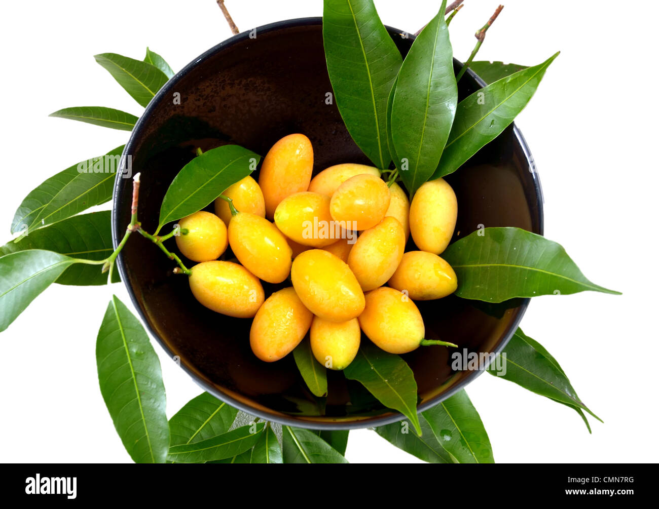 Marian Pflaumen- oder Maprang (Thai Frucht) in schwarz Schüssel Stockfoto