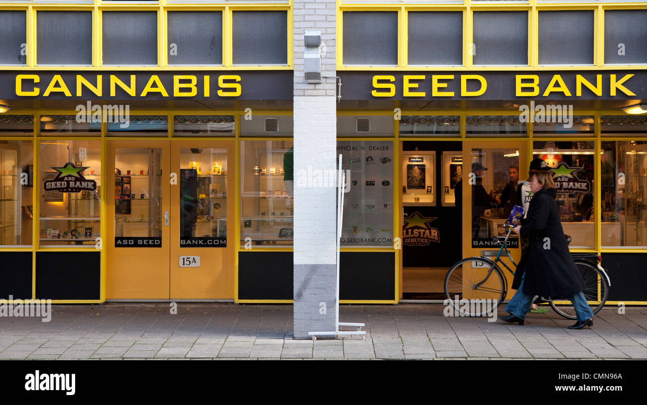 Cannabis-Samen-Bank-Shop, Amsterdam Stockfoto