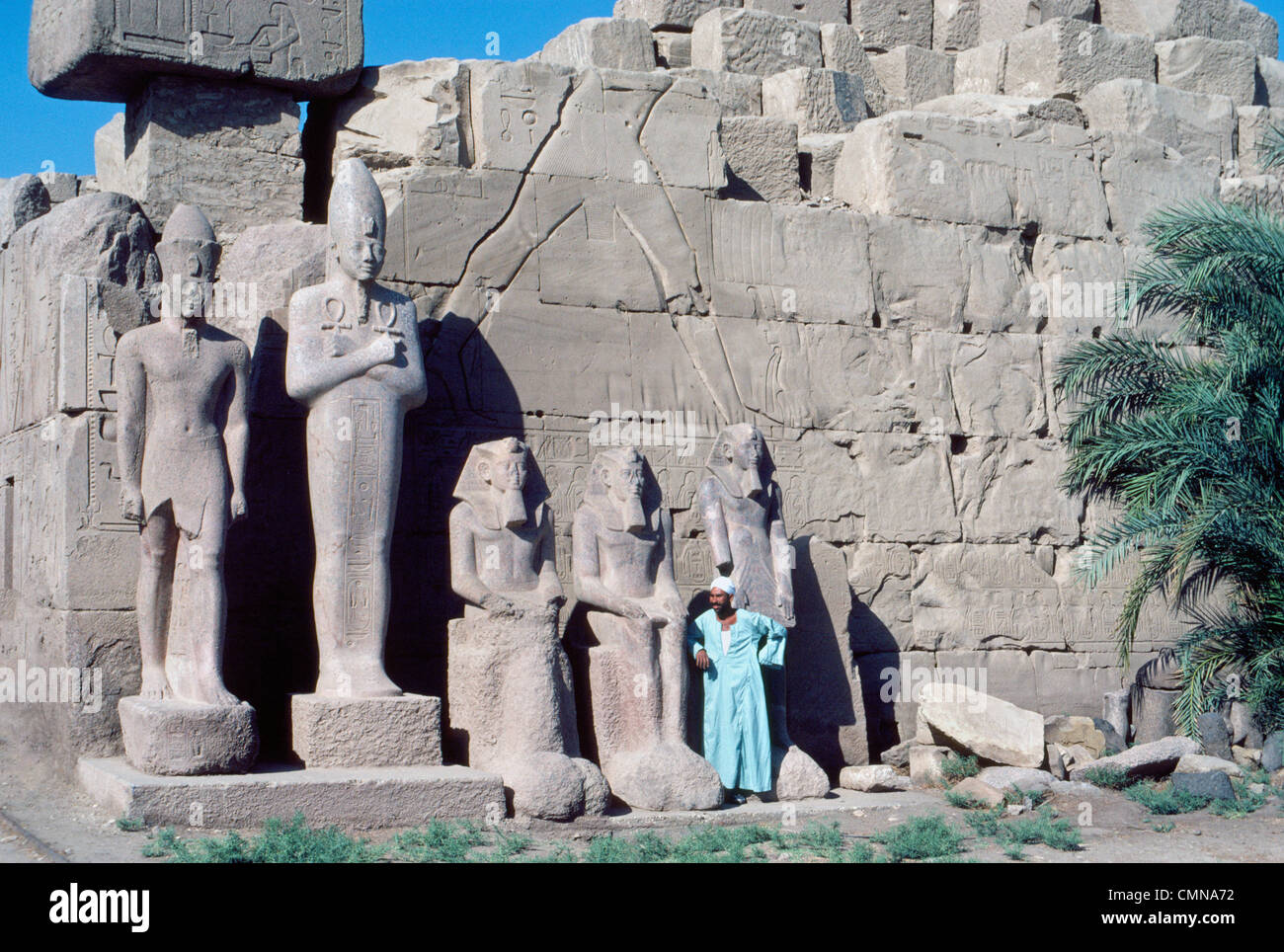 Antike ägyptische Statuen sind gegen eine Sandsteinwand des Karnak Tempels gesäumt, die mit Figuren und Hieroglyphen in Luxor, Ägypten geschnitzt ist. Stockfoto