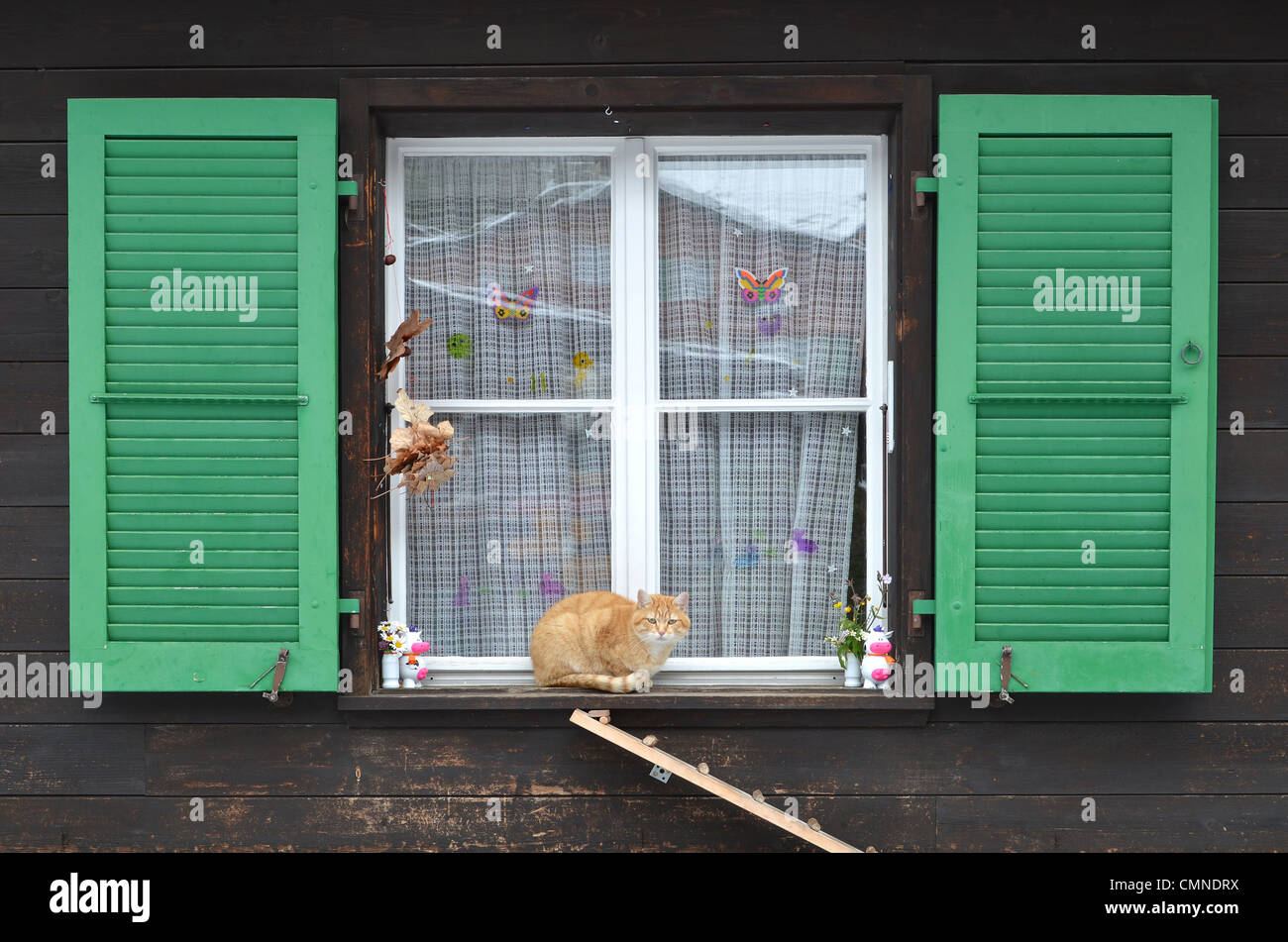 Ingwer Katze saß auf einem Fensterbrett. Aufnahme in Mürren in der Schweiz  Stockfotografie - Alamy