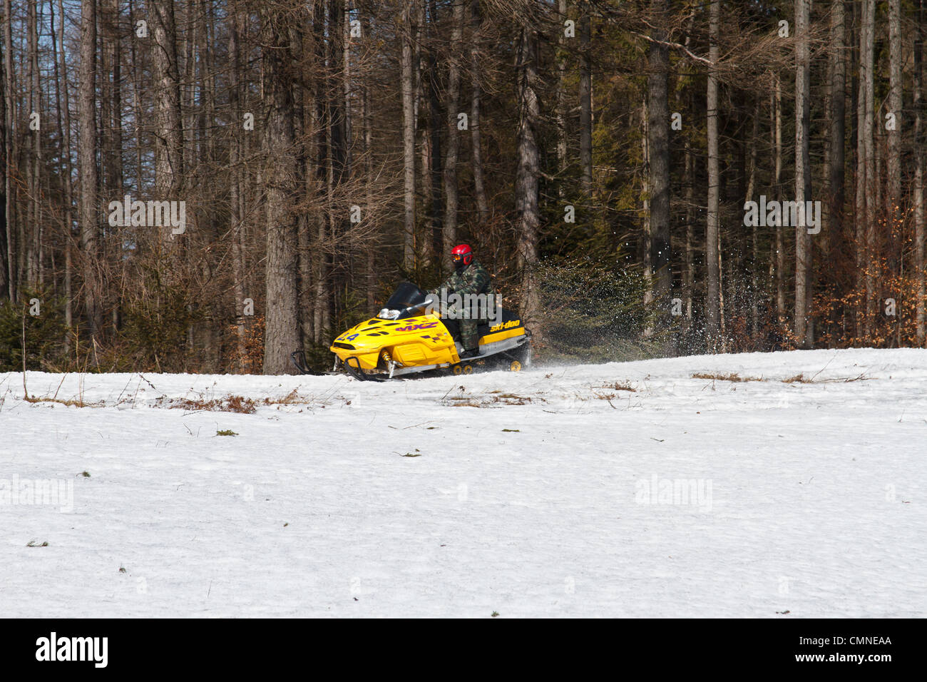 Fahren mit Motorschlitten. Krynica Skigebiet, Beskiden, Polen. Stockfoto