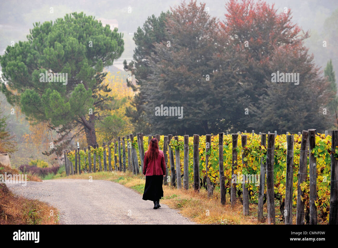 Italien Piemont Santo Stefano Belbo Gaminella Hill Stockfoto