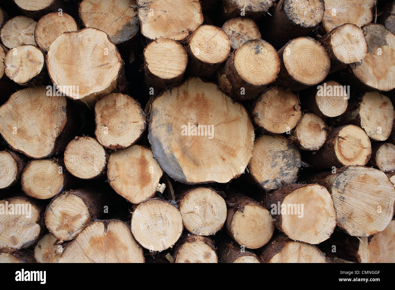 Holz stapeln Stockfoto