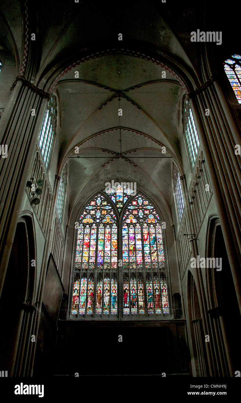 Glasfenster, Kathedrale St. Salvator, Brügge Stockfoto