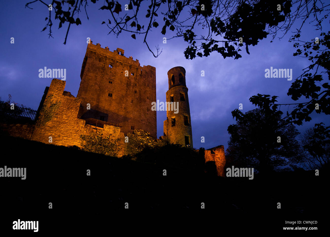 Stein, wo touristische küssen den Blarney Stone, in County Cork, Irland, am 15. Oktober 2011 Geschwätz. (Adrien Veczan) Stockfoto
