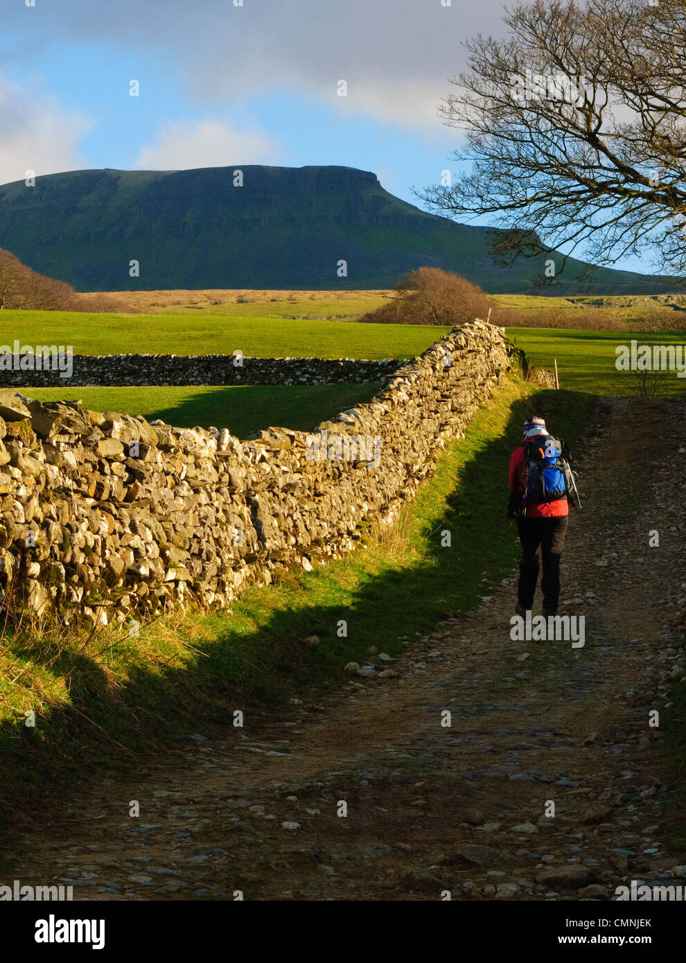 Wanderer auf dem Weg zur Pen-y-Gent in Yorkshire Dales Stockfoto