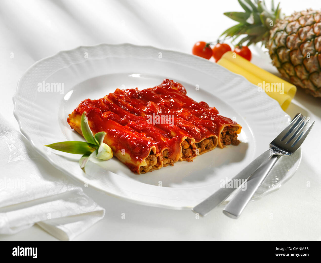 Asiatische Hähnchen mit cannelloni Stockfoto
