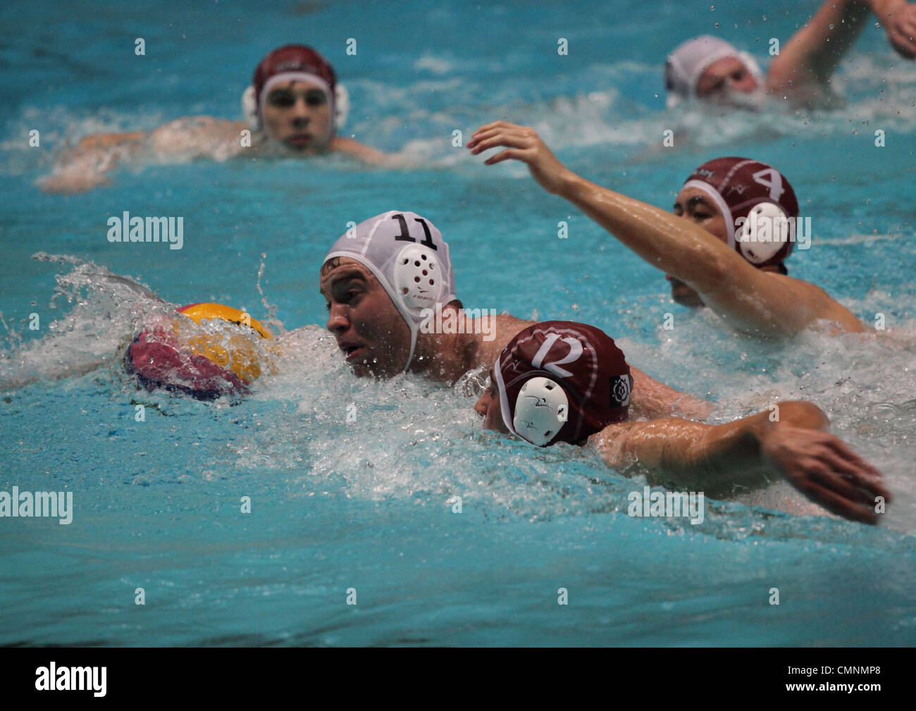 Wasserball zwischen Sheffield University und Sheffield Hallam Universität während der Varsity 2012 Sportveranstaltung. Stockfoto