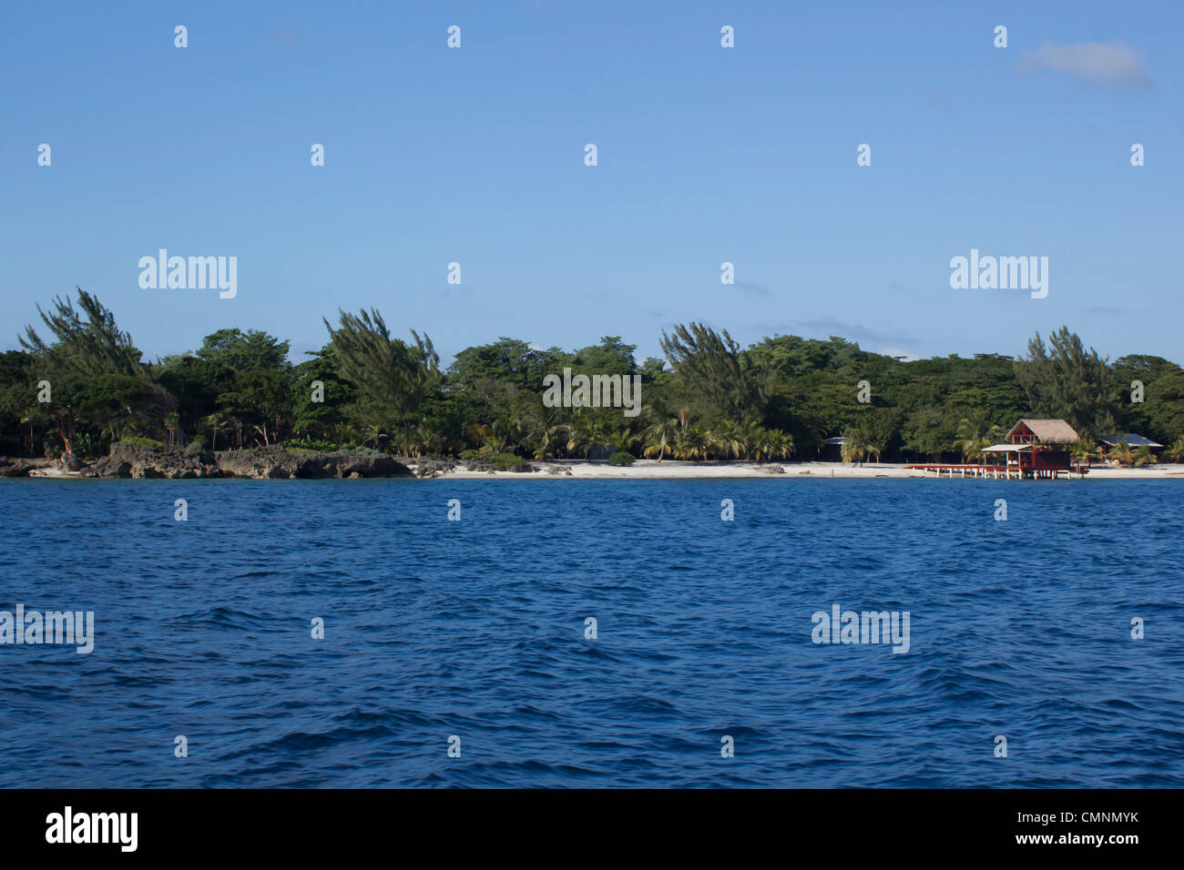 Utila Insel In Honduras Stockfoto