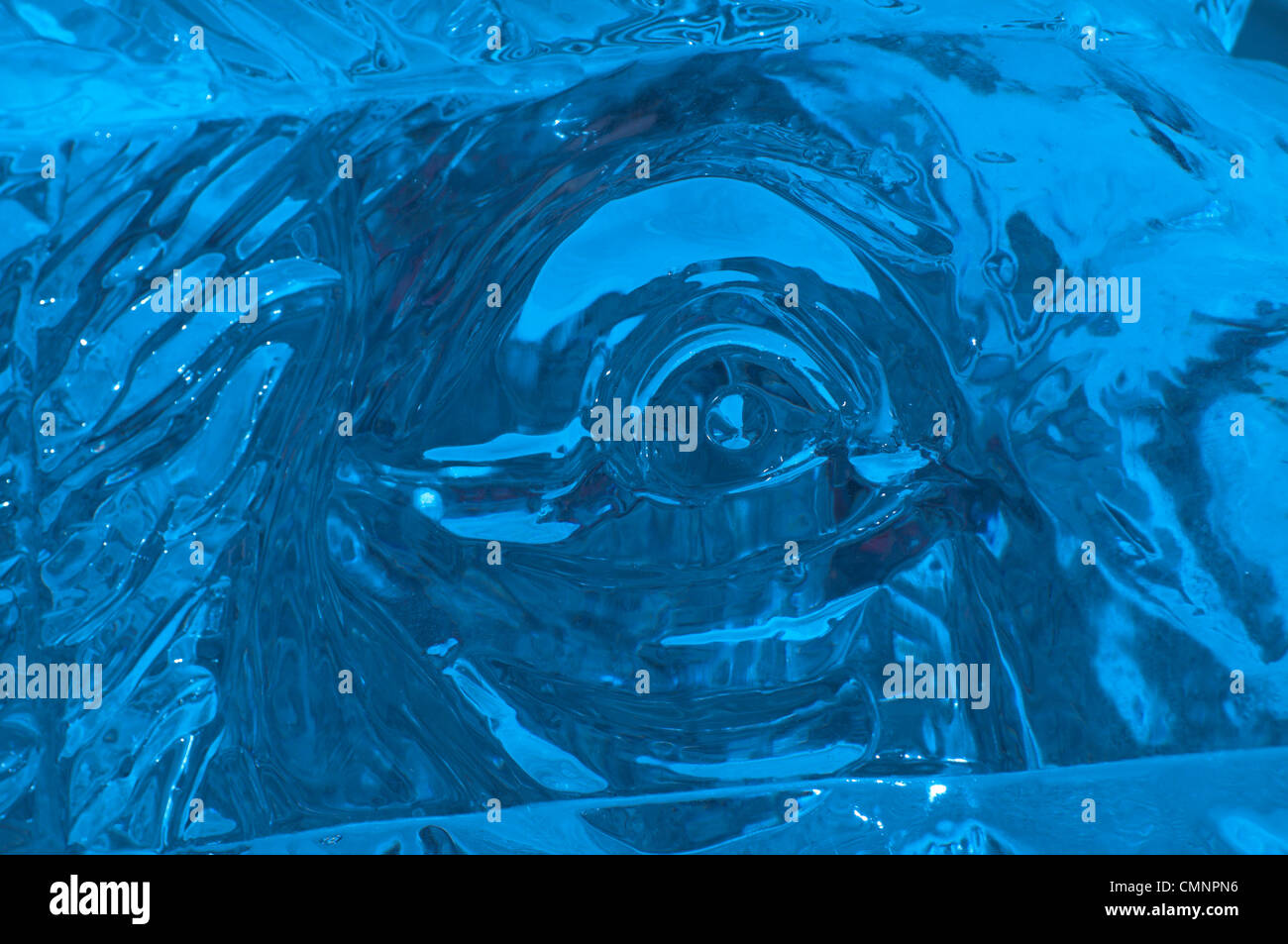 Auge des Elch-Eis-Skulptur an der Bloor-Yorkville IceFest 2012 Stockfoto Auge des Elch-Eis-Skulptur an der Bloor-Yorkville IceFest 2012 Stockfoto