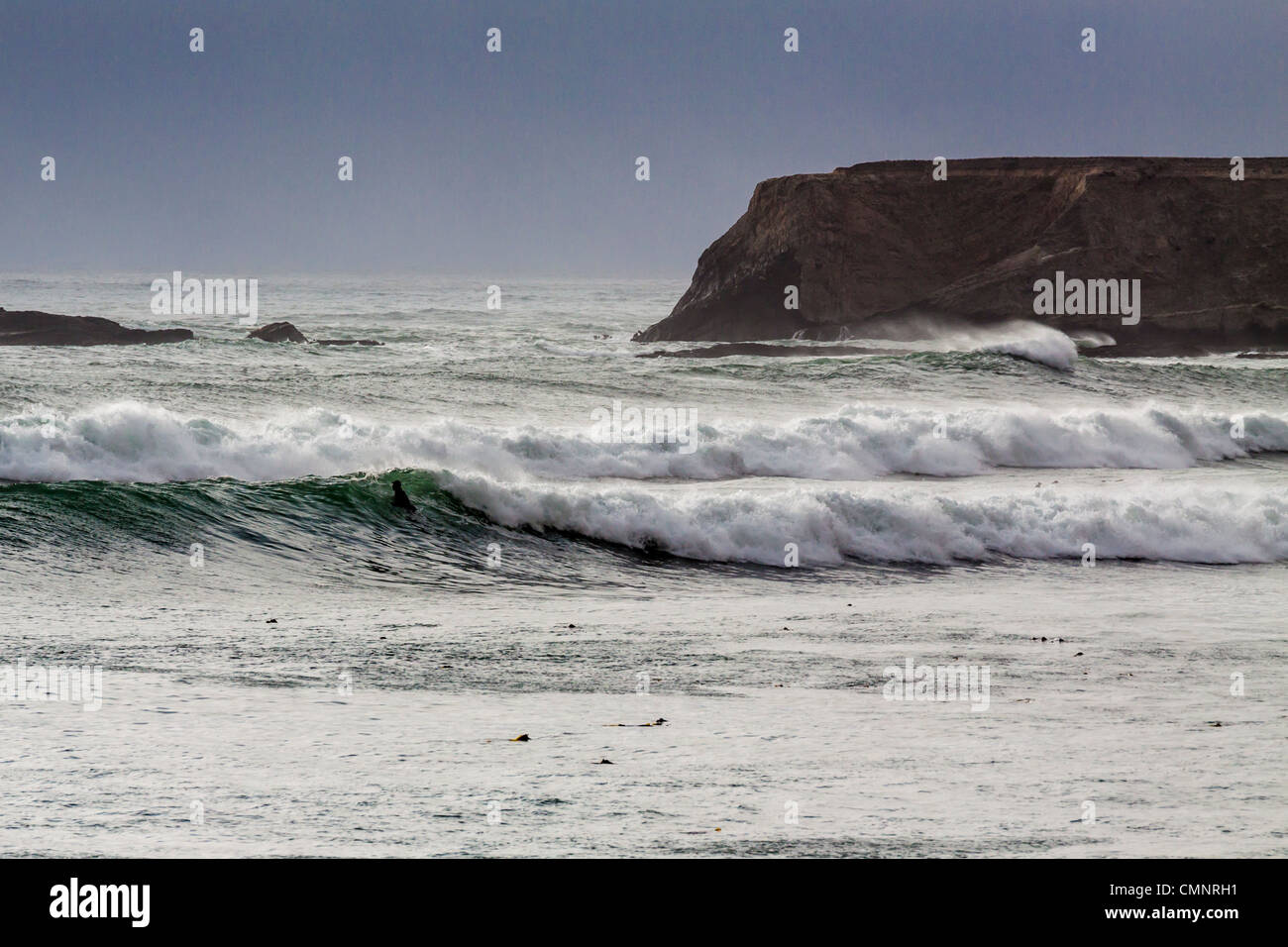Stürmisches Wetter und Surfer fangen eine Welle im Pazifischen Ozean in Point Arena Pier Einlass am Nordkalifornien Küste. Stockfoto