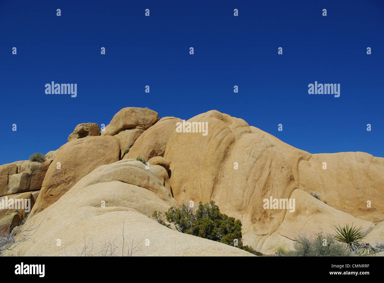 Felsformation, Joshua Tree Nationalpark, Kalifornien Stockfoto