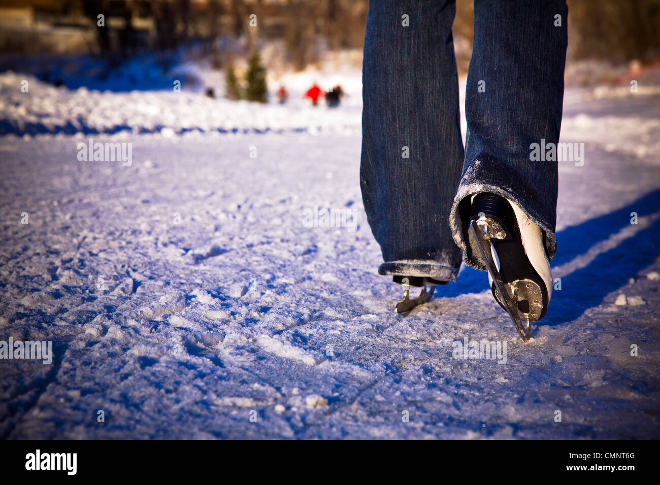 Nahaufnahme von Schlittschuhen auf Assiniboine River Trail, weltweit längste natürlich gefroren Eislaufen Trail, The Forks, Winnipeg, MB Stockfoto