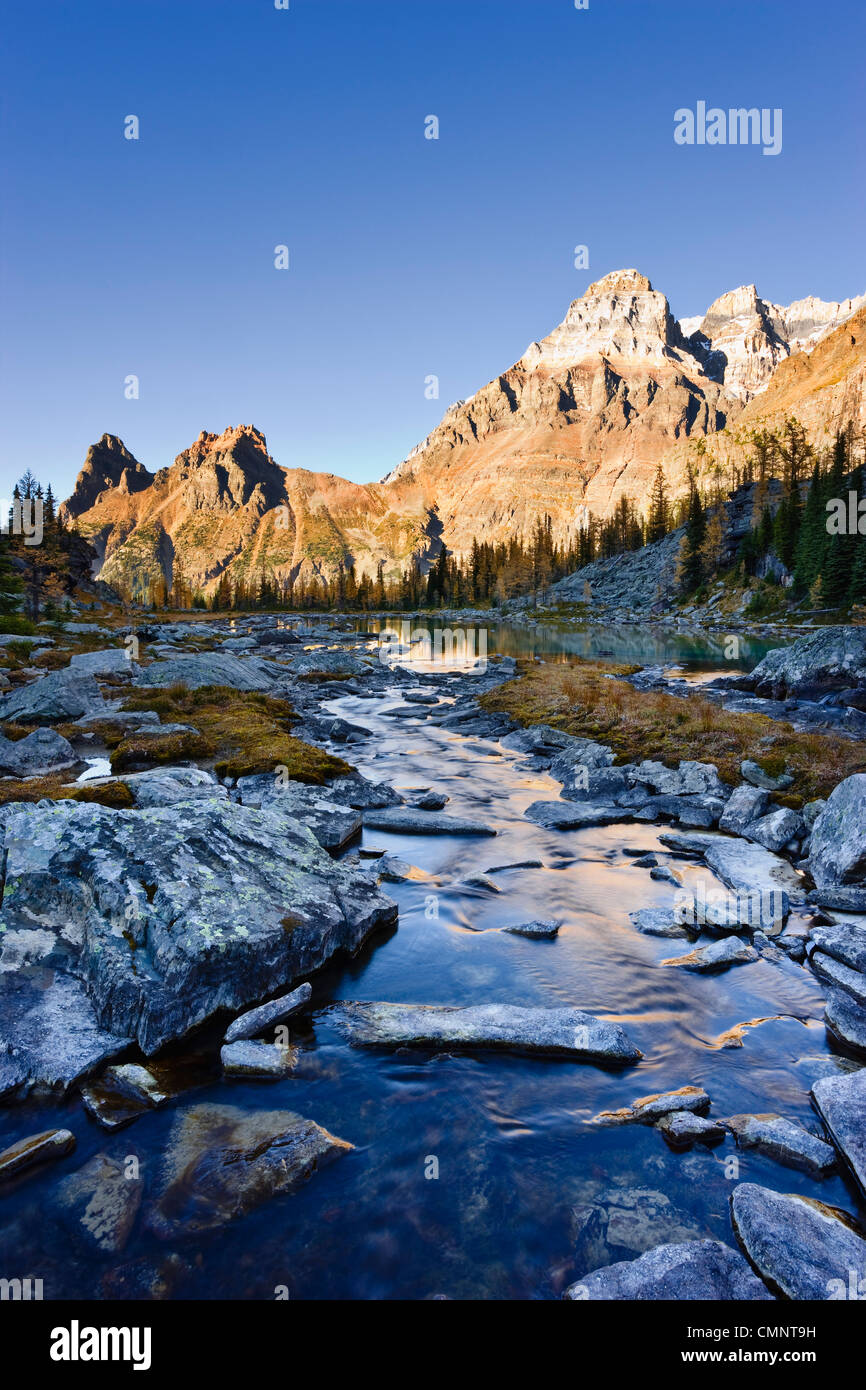 Opabin Plateau, Fluss und Berg Huber mit Mount Victoria, Yoho Nationalpark, Britisch-Kolumbien Stockfoto