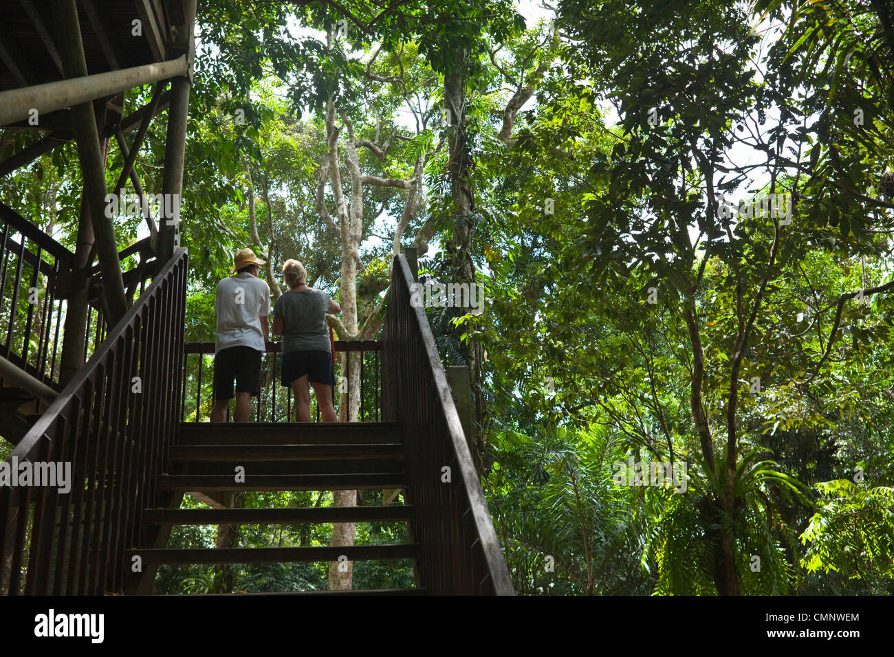 Touristen Klettern bis zu Canopy Tower im Daintree Rainforest Discovery Centre. Daintree Nationalpark, Queensland, Australien Stockfoto