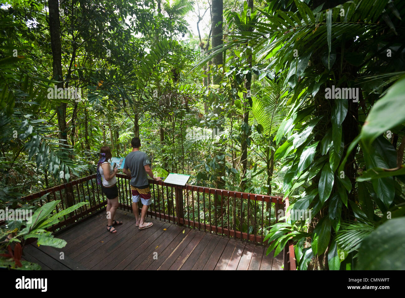 Touristen schauen über Regenwald umgibt im Daintree Rainforest Discovery Centre. Daintree Nationalpark, Queensland, Austral Stockfoto