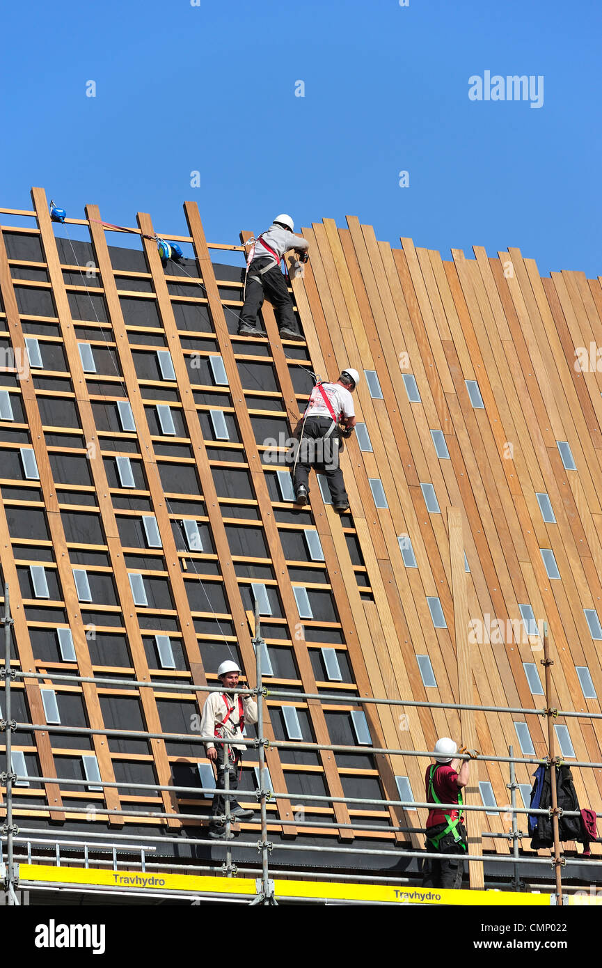 Bauarbeiter / Arbeitsbeleuchtung / Dachdecker geschützt durch Sicherheitsgurte, Helme und Seile anbringen Holzplanken auf Dach Stockfoto