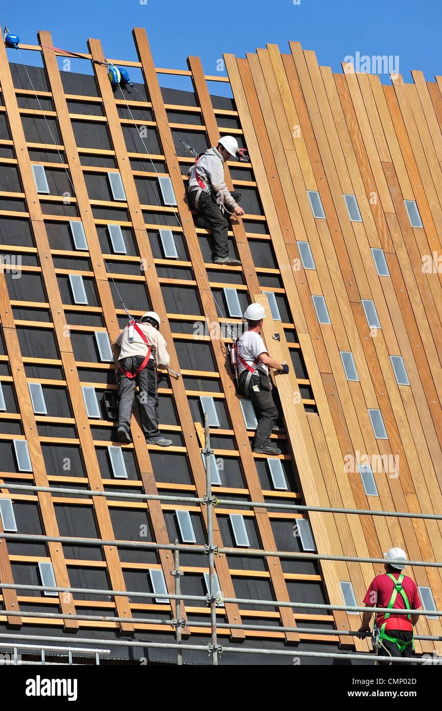 Bauarbeiter / Arbeitsbeleuchtung / Dachdecker geschützt durch Sicherheitsgurte, Helme und Seile anbringen Holzplanken auf Dach Stockfoto