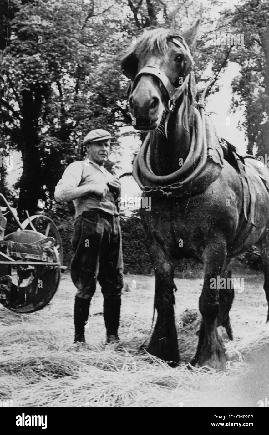 Barnhurst Hof, Pendeford, Anfang 20. Jhdt. Leo James mit einem Bauernhof-Pferd auf der Barnhurst Farm. Eine Pferdekutsche Dreschmaschine kann Stockfoto