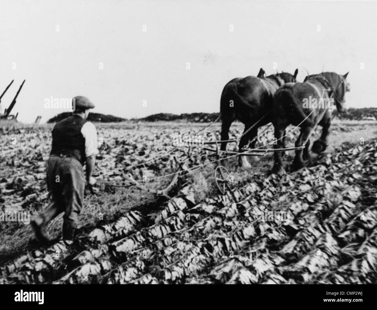 Mount-Farm, Penn, 1930er Jahre. Ein Pflüger unter dem Namen Mr. Price, Pflügen ein Feld auf dem Bauernhof in den 1930er Jahren. Stockfoto