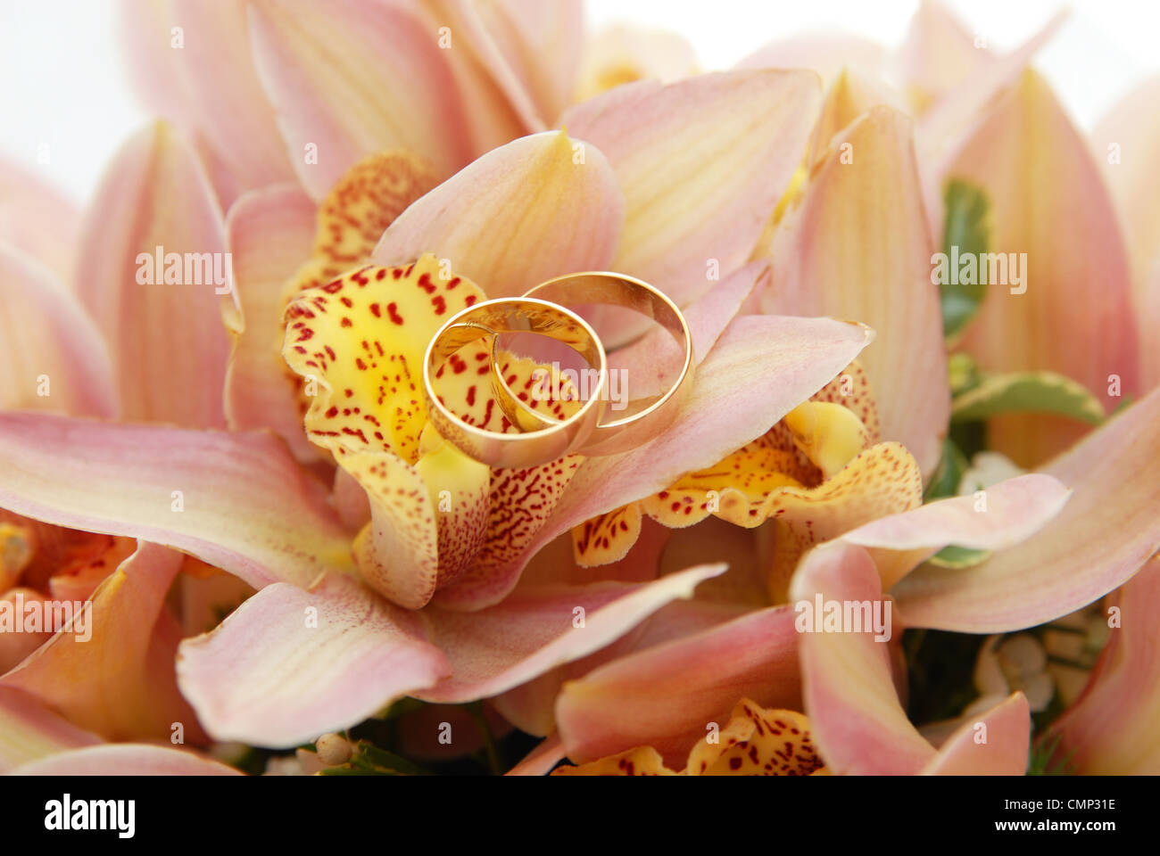 Zwei Trauringe auf der Blume Stockfoto