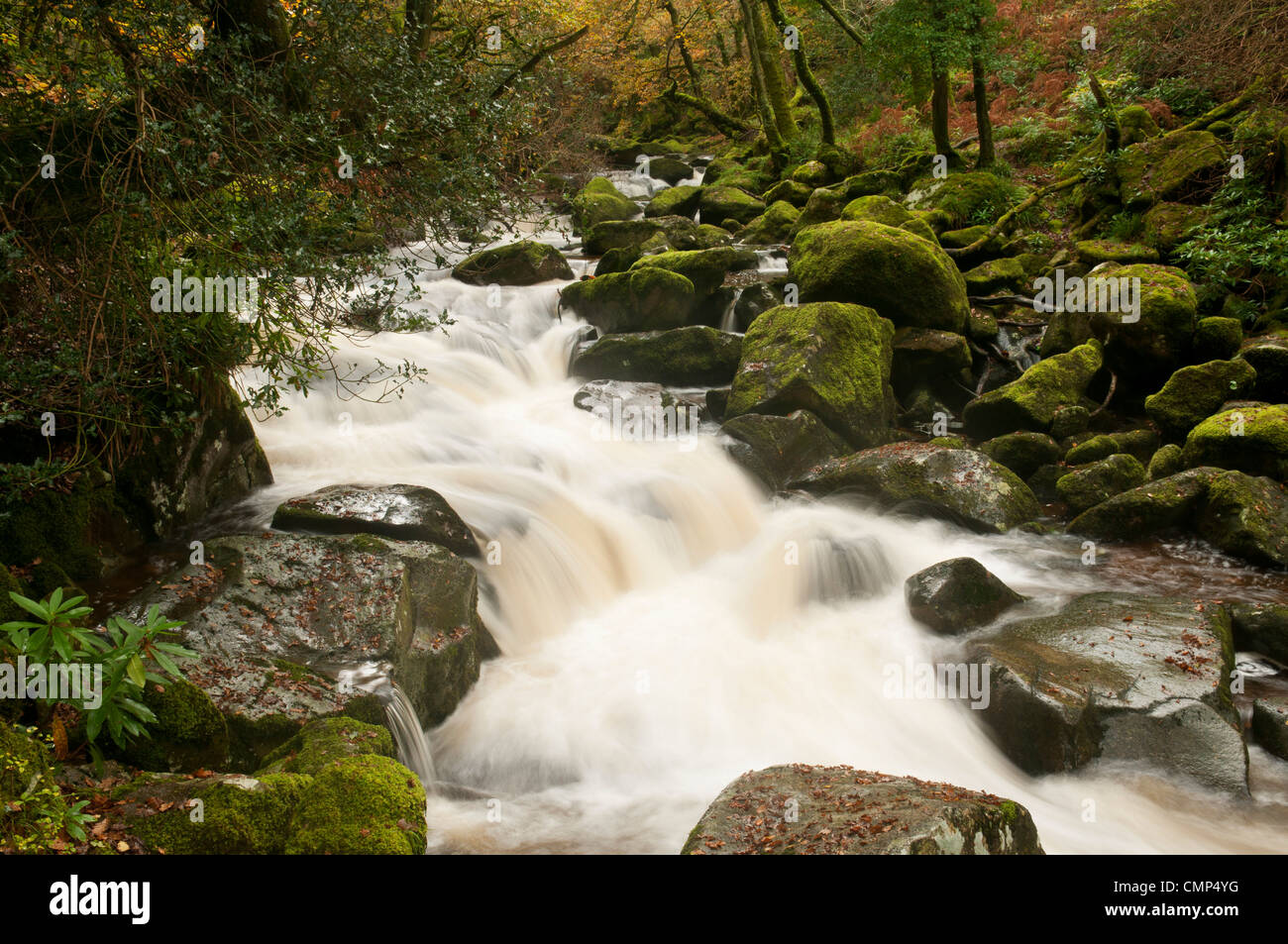 Fluß Plym fließt über die Felsen in der Nähe von Shaugh Brücke, Dartmoor, Devon UK Stockfoto