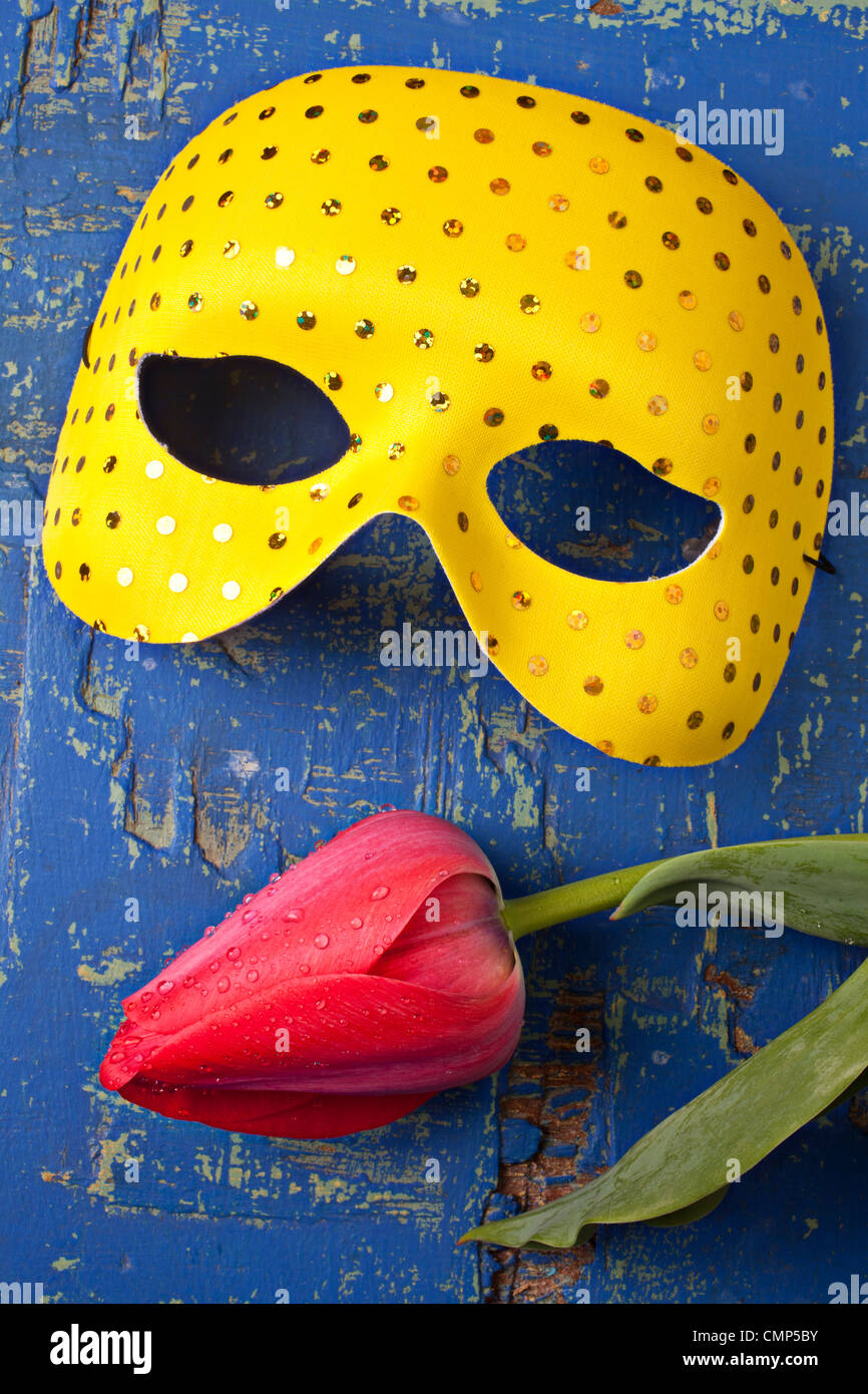 Gelbe Maske und rote Tulpe Stockfoto
