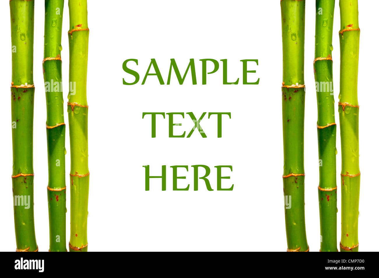 Bambusstöcke isoliert mit Text-Raum Stockfoto