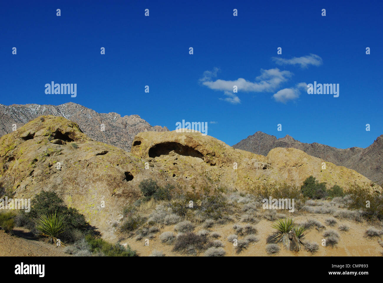 Yucca, Felsen, Bergen und Himmel in der Nähe von Christmas Tree Pass, Nevada Stockfoto