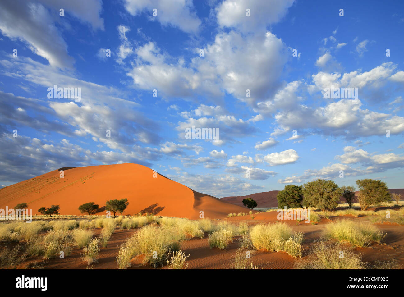 Landschaft mit Wüste Gräser, große Sanddüne und Himmel mit Wolken, Sossusvlei, Namibia, Südliches Afrika Stockfoto