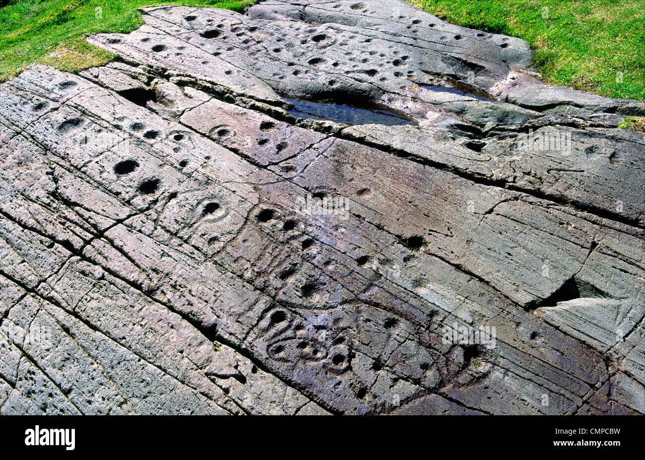 Prähistorische Tasse und Ring markieren geschnitzten Stein Kunst Felsvorsprungs in Kilmichael Glassary, Kilmartin Valley, Argyll, West-Schottland, UK Stockfoto