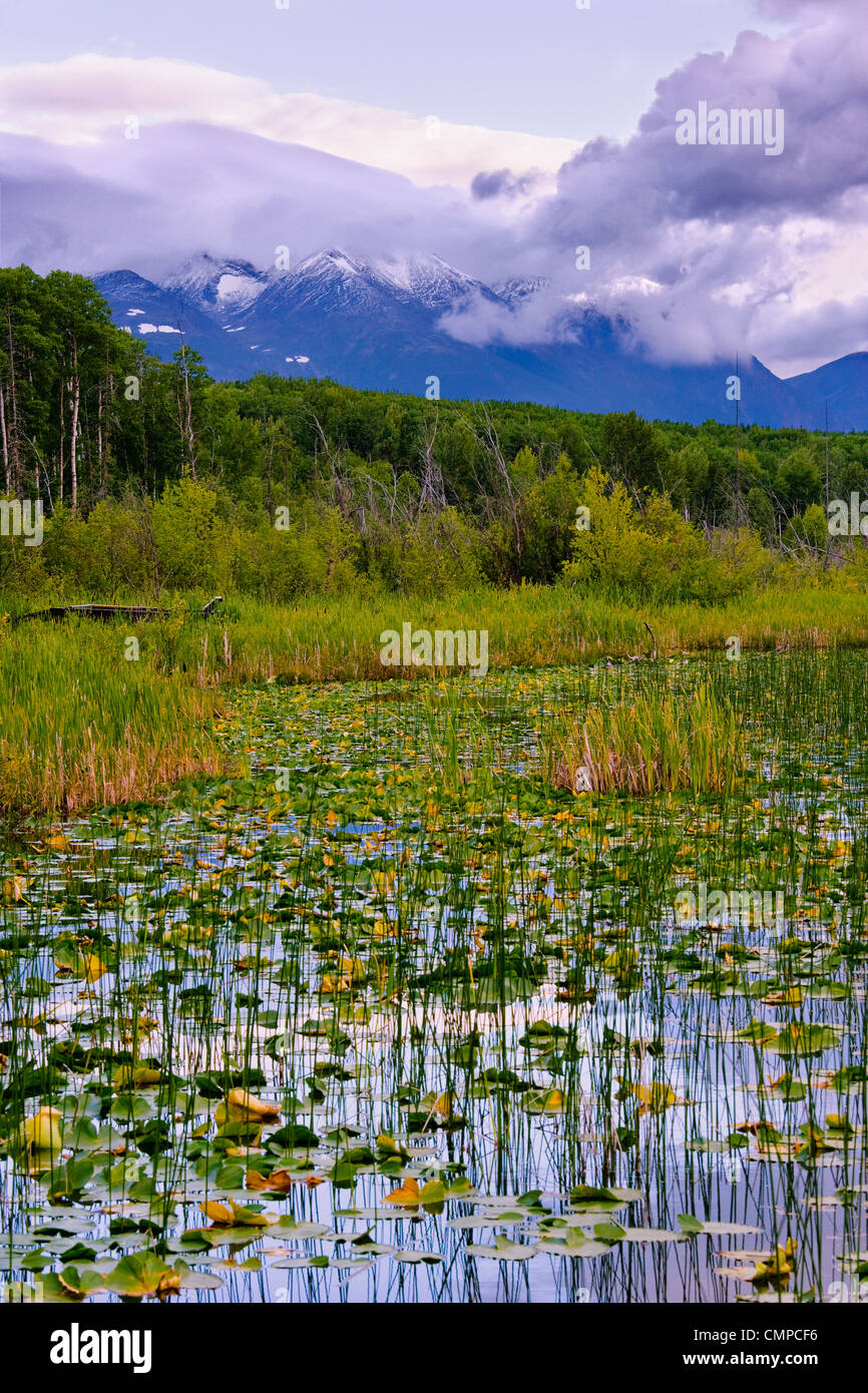 Tyhee See und Hudson Bay Mountain, Tyhee Lake Provincial Park, Britisch-Kolumbien Stockfoto