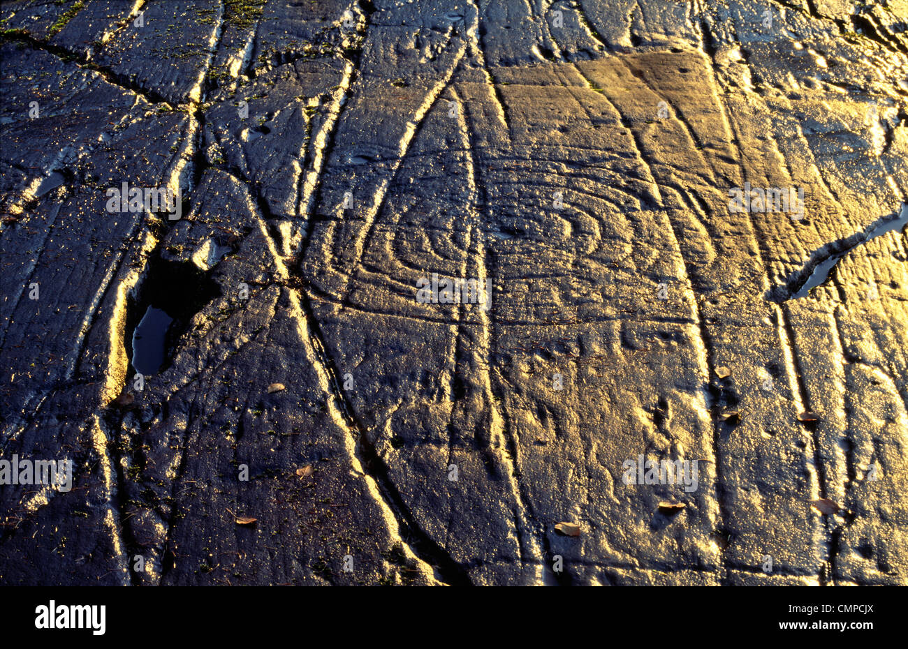 Prähistorische Tasse und Ring markieren geschnitzten Stein Kunst Felsvorsprung am Achnabreck, Kilmartin Valley, Argyll, West-Schottland, UK Stockfoto