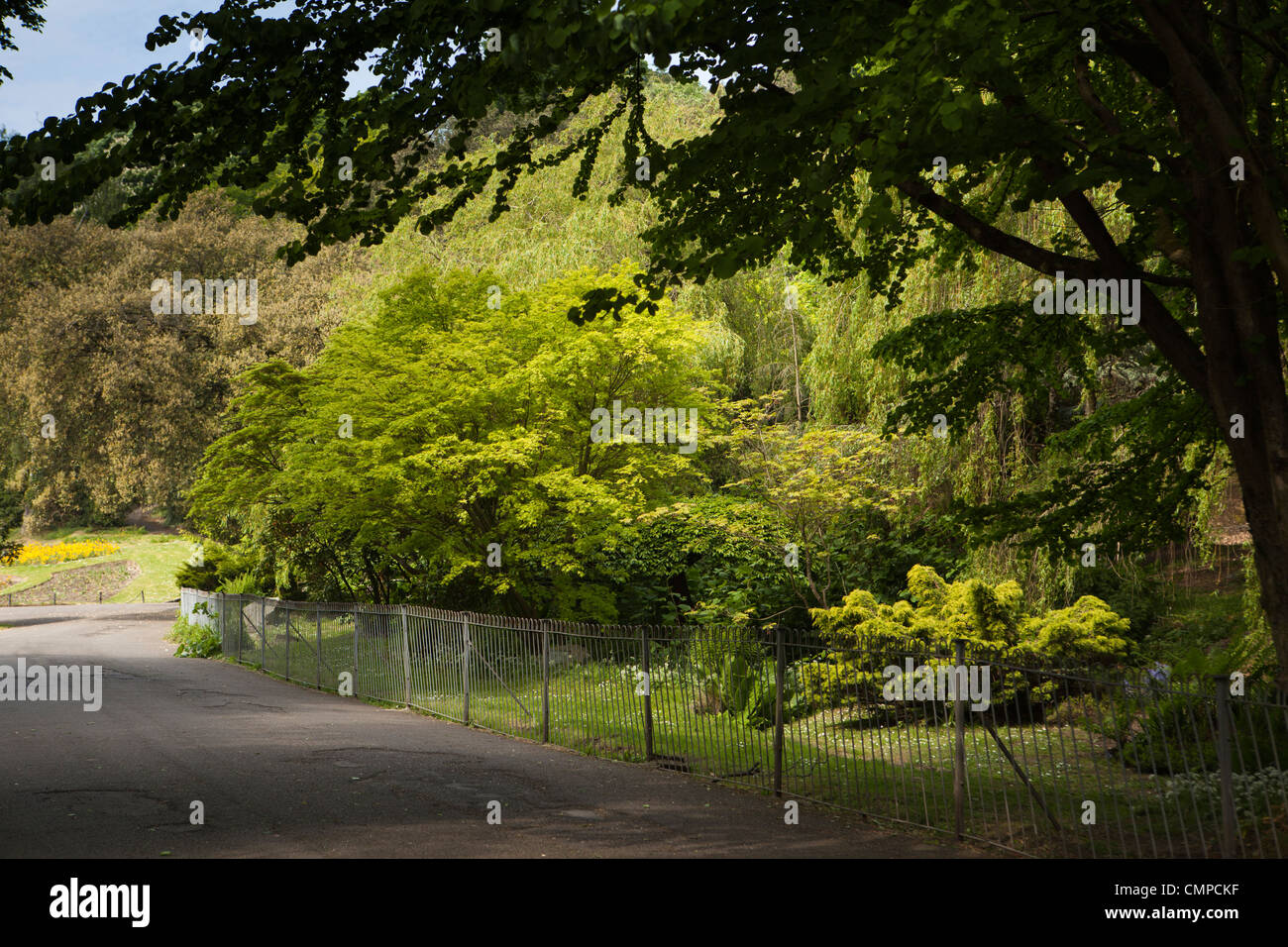 England, Wales, Swansea, Cwmdonkin Park Stockfoto