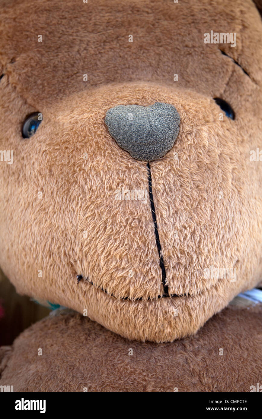 Großer Teddybär Gesicht Stockfoto