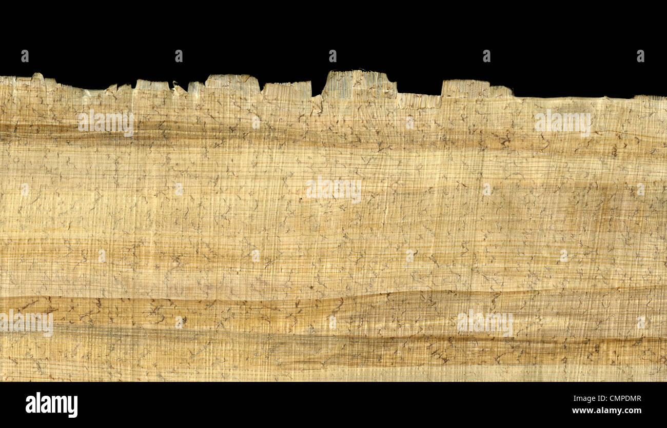 Papyrus Grobe Papierstruktur Mit Faser Muster Falten Lose Fasern Und Staub Rand Auf Schwarzem Hintergrund Gezeigt Stockfotografie Alamy