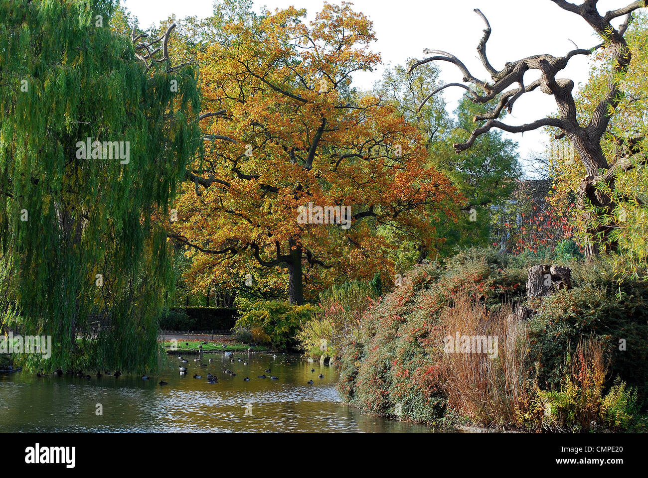 Großbritannien, England, London Rengents Europapark Stockfoto