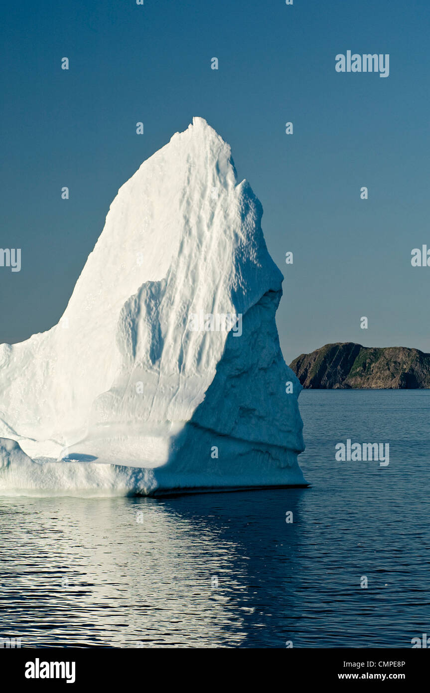 Eisberg schwimmt in Trinity Bay aus Bonavista Halbinsel des östlichen Neufundland Stockfoto