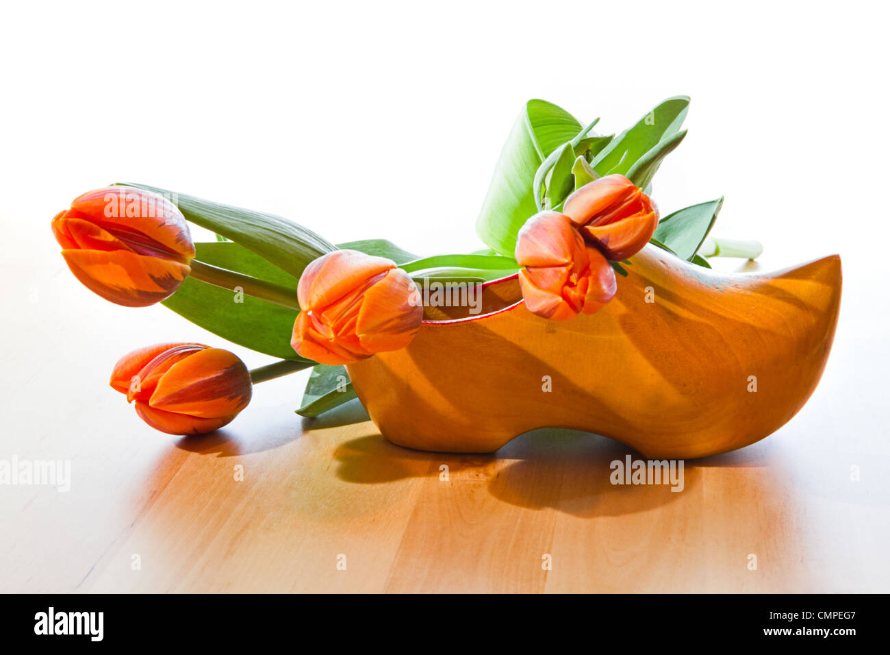 Grüße aus Holland - holländische Holzschuh und orange Tulpen mit weißem Hintergrund auf Holztisch Stockfoto