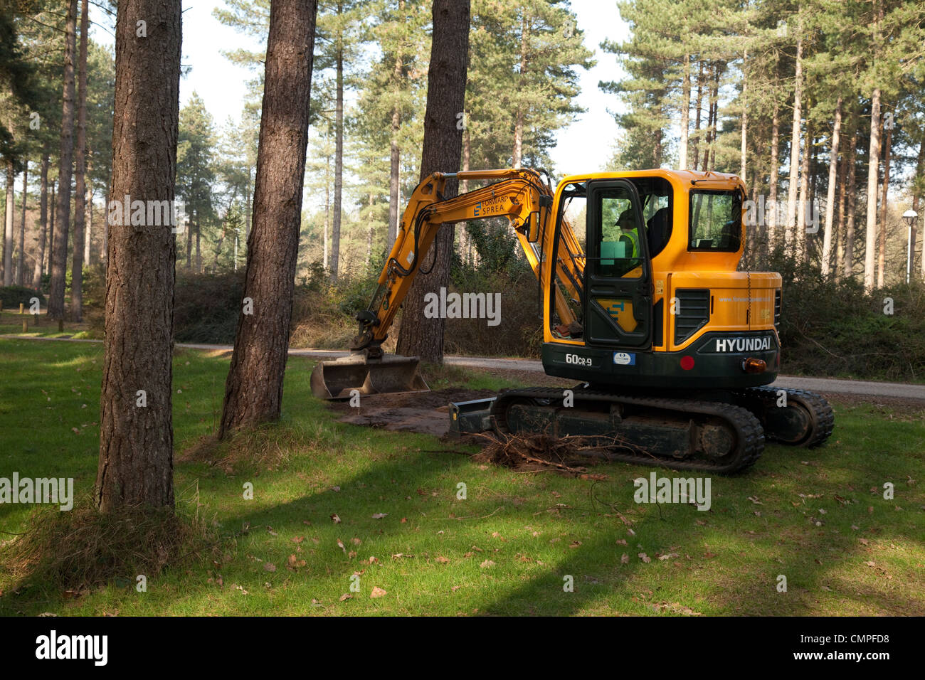 Maschinen zum Einsatz für die Landnutzung und Forstwirtschaft Forestry Commission, Thetford Forest, Norfolk UK Stockfoto