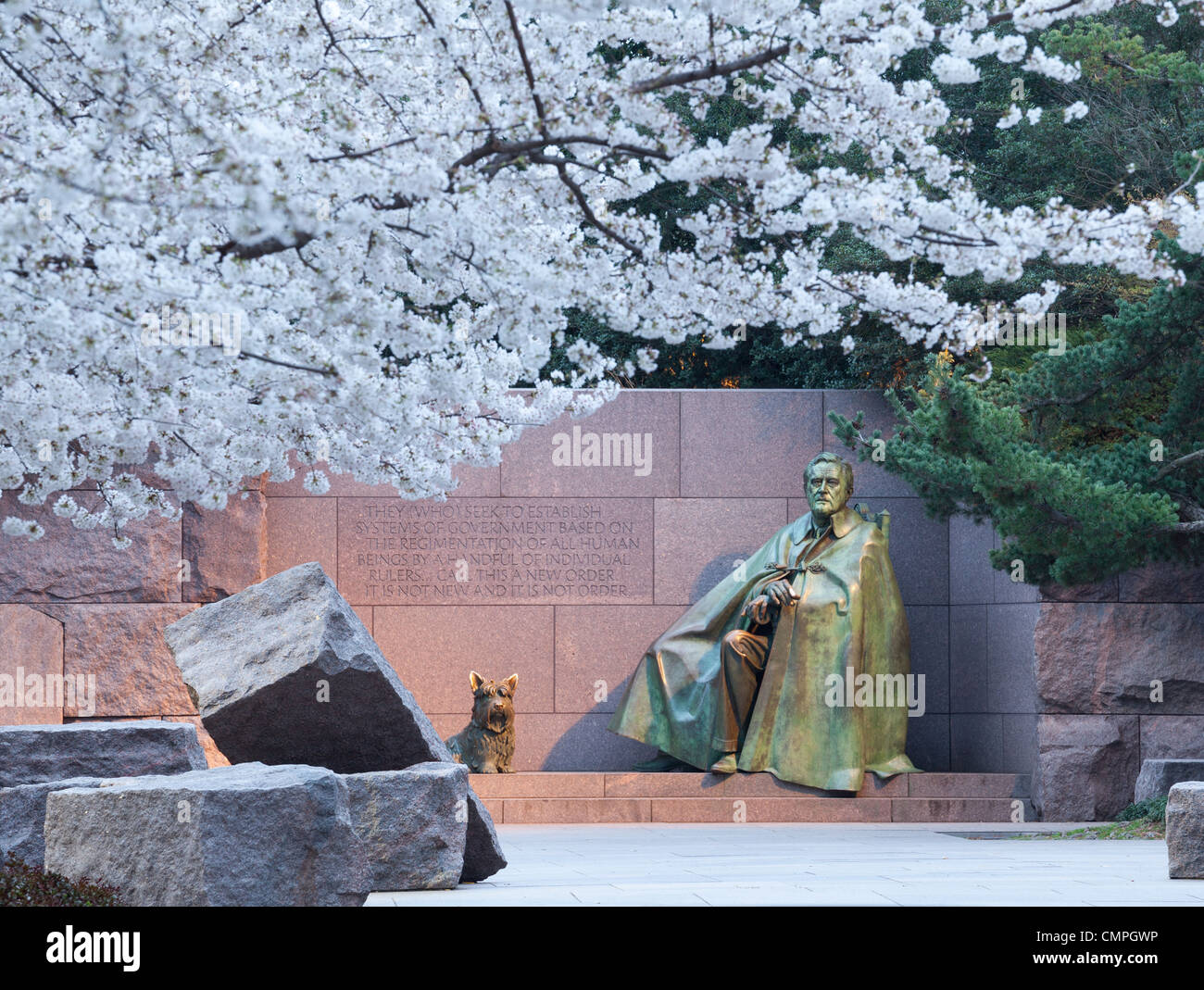 Frühe japanische Kirschblüten umgeben das Flutlicht Denkmal für Franklin Delano Roosevelt in DC Stockfoto