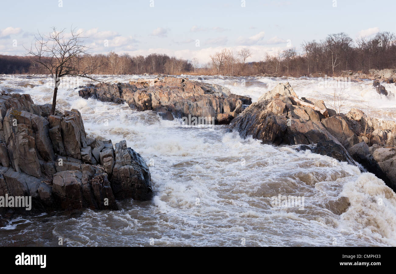 Great Falls am Potomac River außerhalb Washington DC bei Überschwemmung nach Starkregen Stockfoto