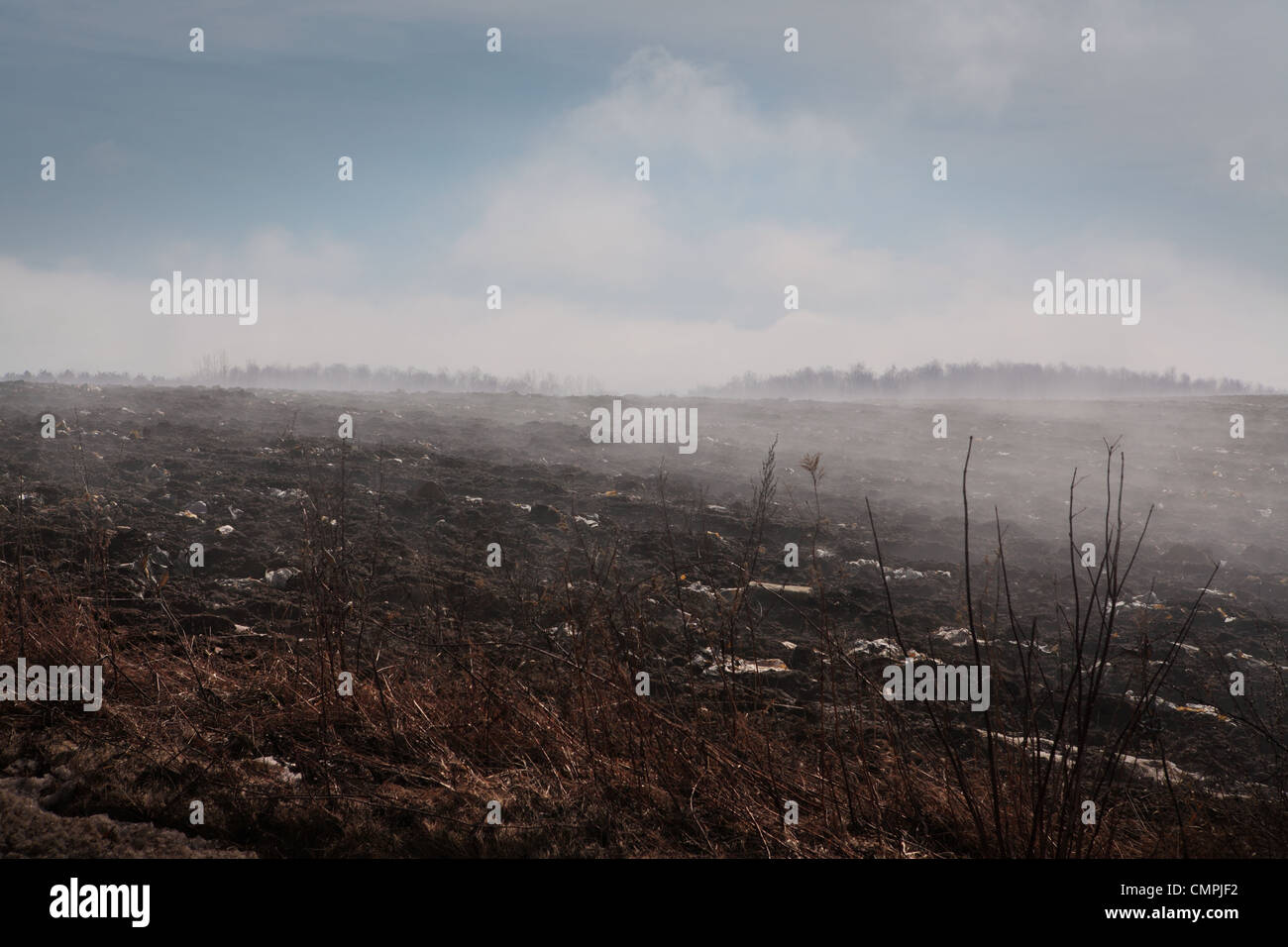 Der Morgennebel steigt. Es ist Frühjahr in die Felder und weiter auf sehen wir, dass wir den Wald nicht sehen. Stockfoto