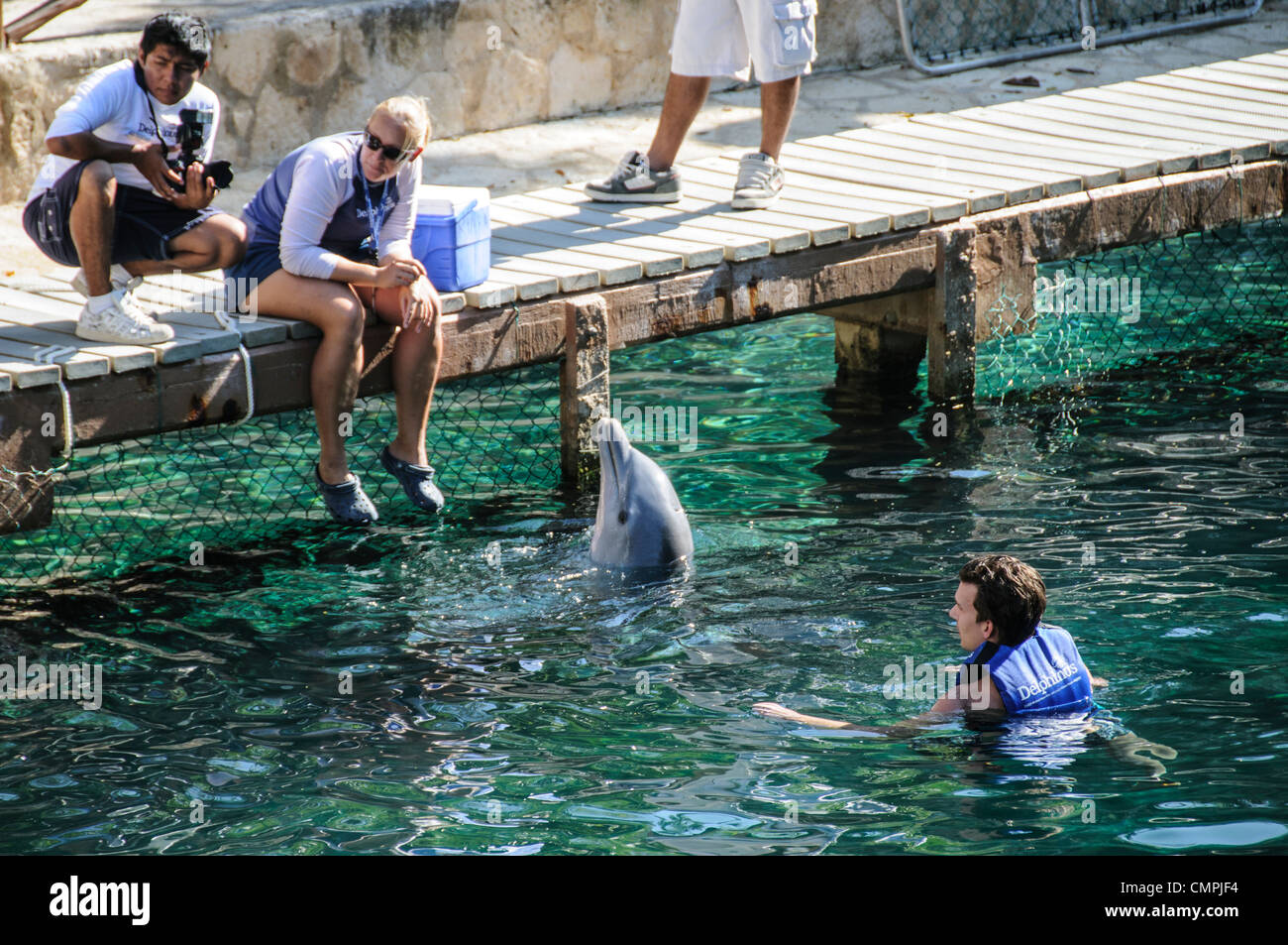 Besucher schwimmen mit Delfinen im Xcarat Maya Themenpark südlich von Cancun und Playa del Carmen auf der mexikanischen Halbinsel Yucatana. Stockfoto